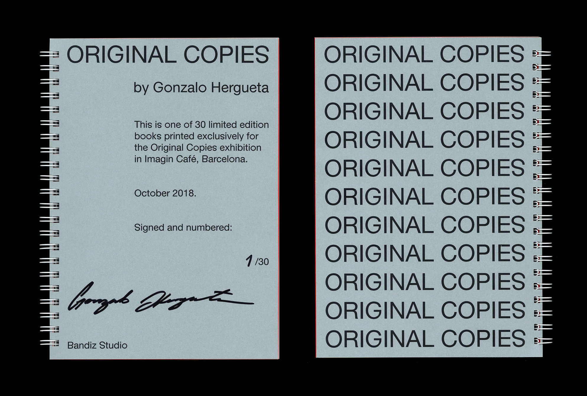 GH, project: Original Copies (Fig. 11)