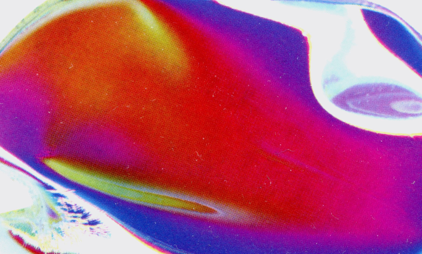 GH, project: Brain Magazine (Fig. 2)