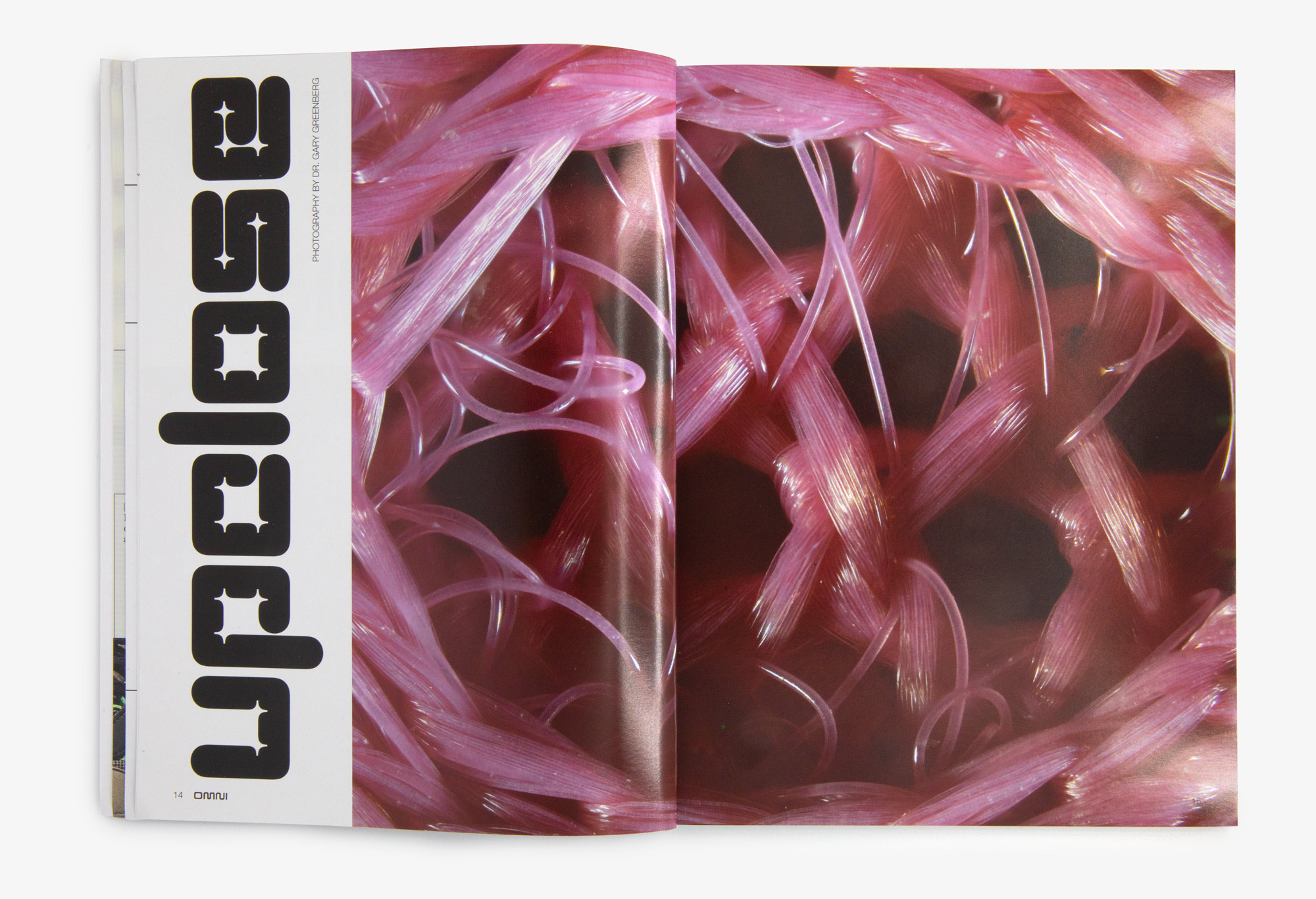 GH, project: OMNI Magazine (Fig. 6)